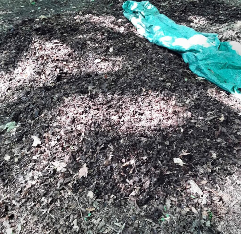 Blog 10b1196e 0d4a 4192 ab75 a416a73425e8