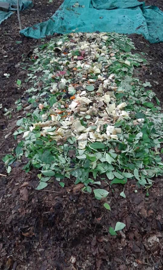 Blog 441b0cbf 11b2 4e36 831c dad6d4840148