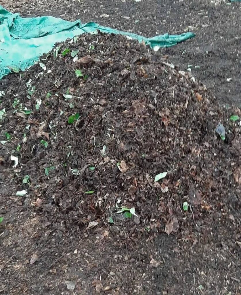 Blog 5ddfa727 f9cd 4a99 b75e 0da8ca540eda