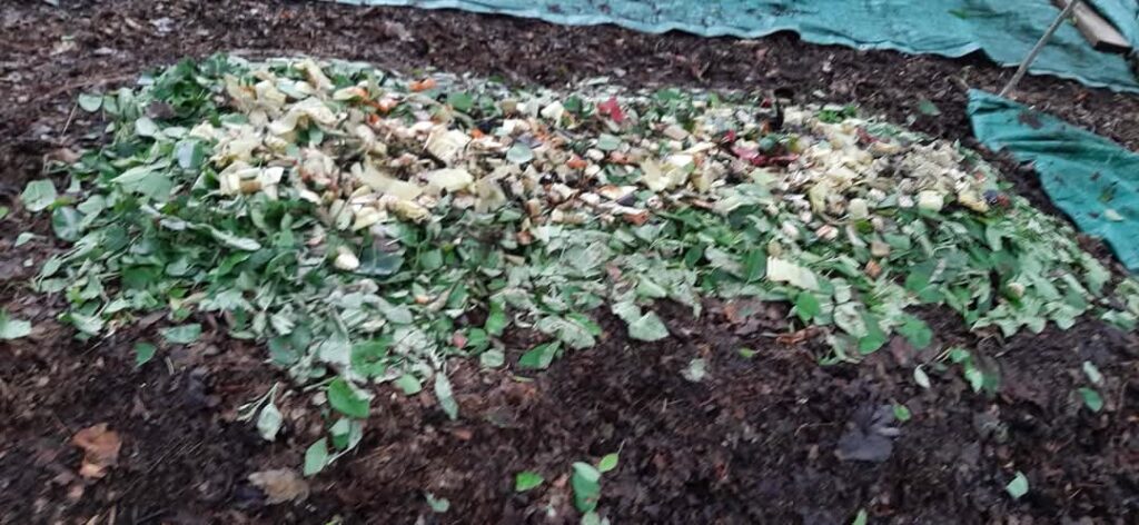 Blog 9150c54e 934d 4825 afca dbd4cd8213aa