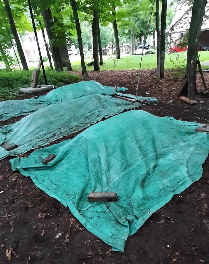 Blog c7d57129 90c5 4c93 9f9f 82b1cbcbae94