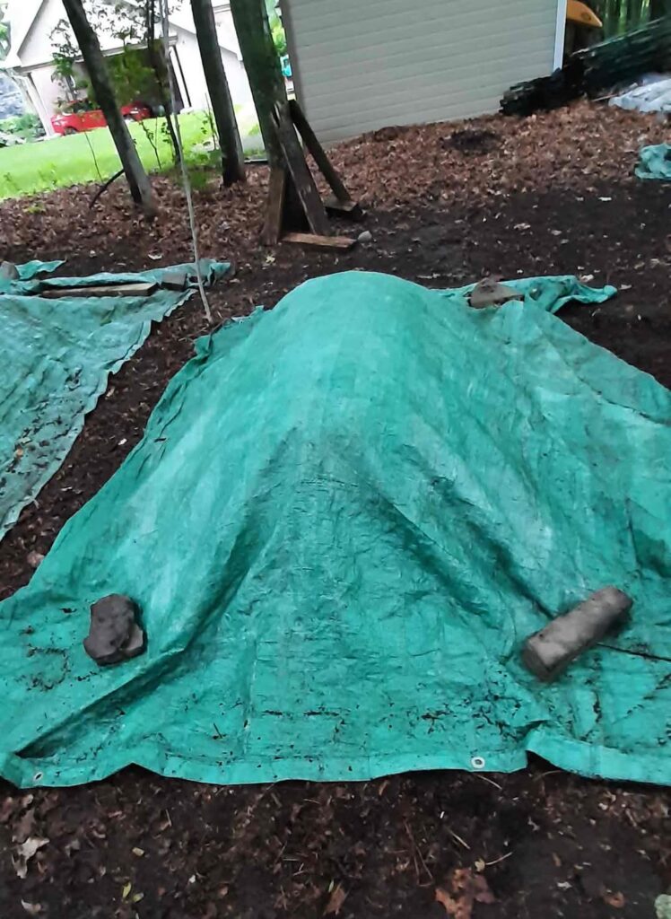 Blog dfd03e61 ab99 40f8 a6d9 8e7e151985fb